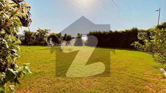 35 plot number opposite Dr A Q khan College