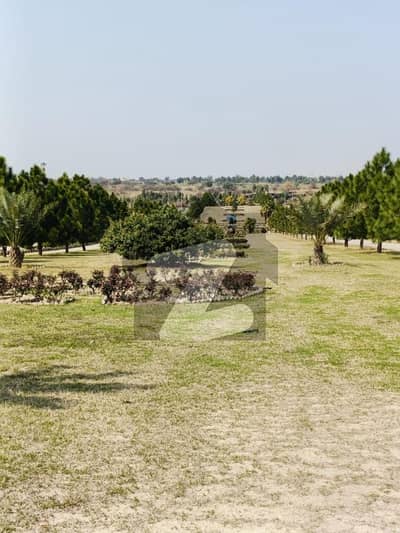 1 KANAL PLOT FOR SALE BLOCK A