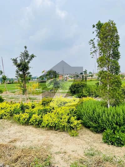 3 Marla Corner Residential On Ground Plot Available For Sale In Union Green Phase 2 Pine Avenue Road Lahore