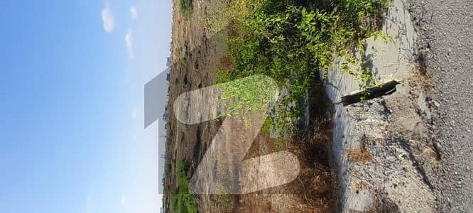 1000 Yards Residential Plot for Sale Zone-E. off khyber.