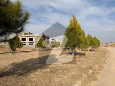 Excellent Location 5 Marla Plot Reasonable Demand