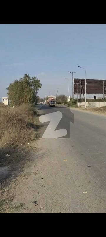 جیا باگا روڈ لاہور میں 15 کنال زرعی زمین 1.45 کروڑ میں برائے فروخت۔