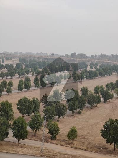 Rose Sector 8 Marla Possession able Plot