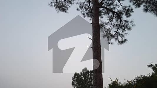 چک شہزاد اسلام آباد میں 6 کمروں کا 4 کنال فارم ہاؤس 6.0 لاکھ میں کرایہ پر دستیاب ہے۔