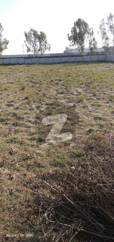 بیدیاں روڈ لاہور میں 8 کنال زرعی زمین 4.6 کروڑ میں برائے فروخت۔