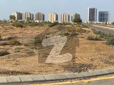 29th Street | E Zone | Most Demanding Location | Off Arafat