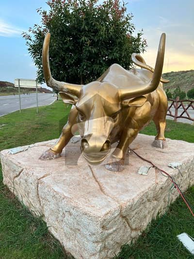 BACK OPEN WITH LAVISH MARGLLAH HILLS VIEW