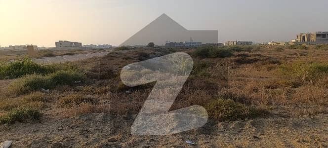 100 Sq Yard's Main Road plot