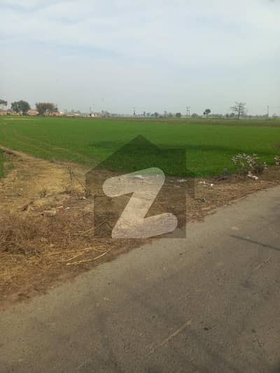 جیا باگا روڈ لاہور میں 26 کنال زرعی زمین 10.9 کروڑ میں برائے فروخت۔