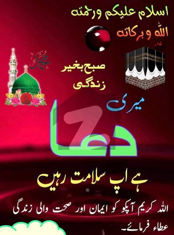 Plot for sale in canal garden Plot for sale in canal garden