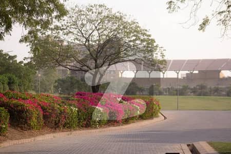 Plot For Sale In Naya Nazimabad Block M