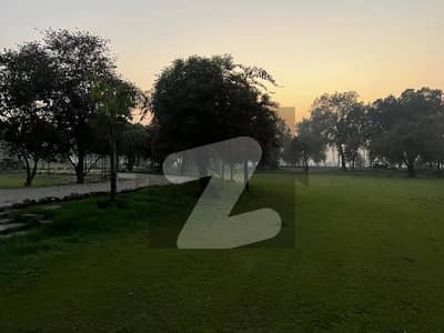 good looking and beautiful plot