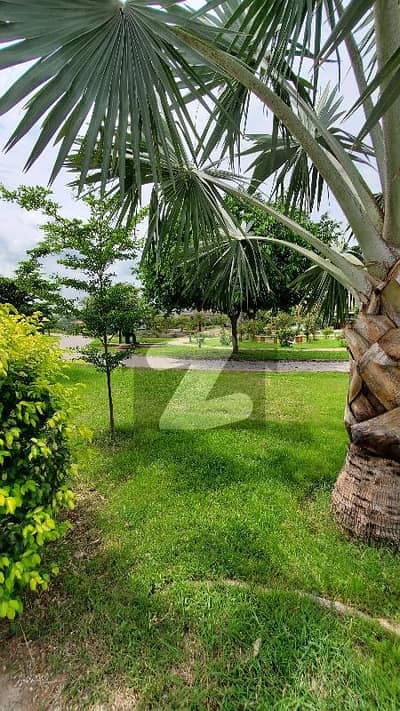 One Kanal Possession Plot For Sale In Sector C