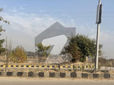 Corner Plot For Sale