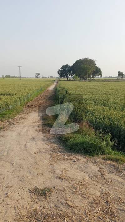 10 Acer Land For Sale in Nankana city 2 Km from Nankana interchange 10 Acer Land For Sale in Nankana city 2 Km from Nankana interchange