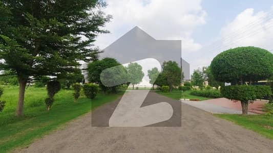 ٹی آئی پی ہاؤسنگ سوسائٹی ۔ فیز2 ٹی آئی پی ہاؤسنگ سوسائٹی,لاہور میں 1 کنال رہائشی پلاٹ 5.35 کروڑ میں برائے فروخت۔ ٹی آئی پی ہاؤسنگ سوسائٹی ۔ فیز2 ٹی آئی پی ہاؤسنگ سوسائٹی,لاہور میں 1 کنال رہائشی پلاٹ 5.35 کروڑ میں برائے فروخت۔