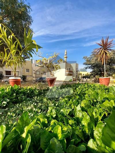 Centrally Located Residential Plot In Naya Nazimabad - Block D Is Available For sale