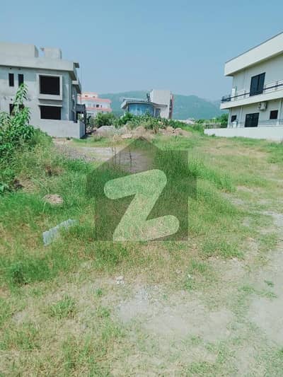 D-12/3 500 Square Yard Plot For Sale