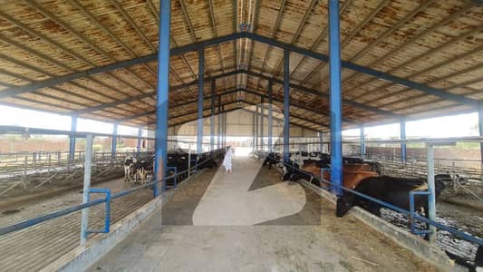 ما نگا - رائیونڈ روڈ لاہور میں 7 کمروں کا 12 کنال فارم ہاؤس 10.0 کروڑ میں برائے فروخت۔