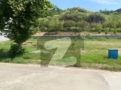 Low Budget Plot For Sale In Prime Location Walking Distance Park, GT Road In DHA 2 Sec A Low Budget Plot For Sale In Prime Location Walking Distance Park, GT Road In DHA 2 Sec A