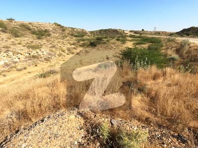 1000 Yards Pair (Jori) Plot