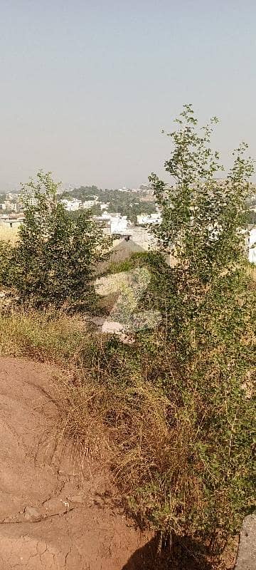 4 Kanal Land For Sale In Bani Gala Near Imran Kahan House