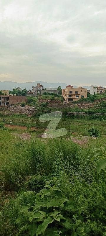 بنی گالہ اسلام آباد میں 11 مرلہ رہائشی پلاٹ 1.7 کروڑ میں برائے فروخت۔