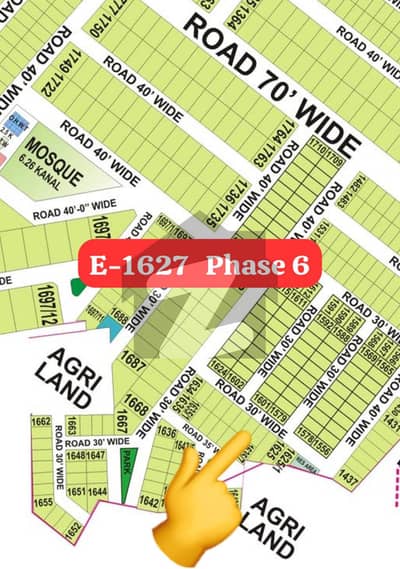 DB/ Pole Clear + Near Park Masjid and Main Road