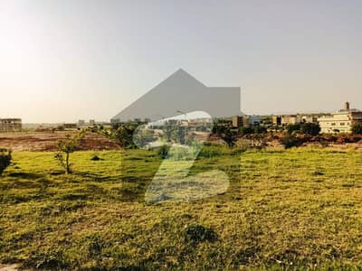 F Block 10 Marla Plot Available With Ideal Location Near Mosque,Park & Market