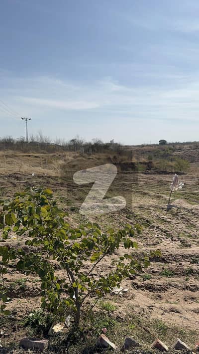 کلر کہار چکوال میں 130 کنال زرعی زمین 7.8 کروڑ میں برائے فروخت۔