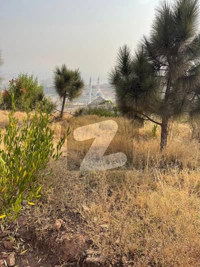 1 Kanal Plot Available In E Block Park View City Investor Rate