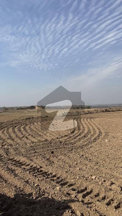 تلاگنگ روڈ چکوال میں 450 کنال زرعی زمین 13.5 کروڑ میں برائے فروخت۔