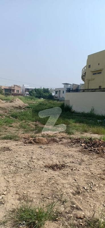 1000 Yards Demolish Condition Bungalow For Sale On 10th East Street Huge Front Can Be Divided Into 2