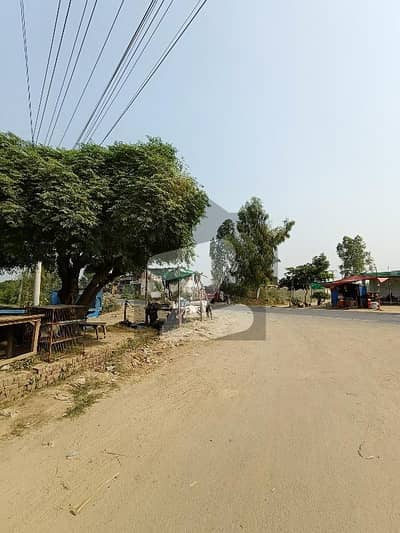 Farmhouse For Sale In Main Sue Asal Road