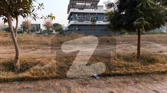 1 Kanal Plot Block E Develop Possession Heighted Location Near To D Markaz