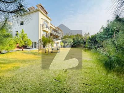 Brand New House For Rent With Extra Green Land