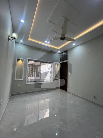 Luxury House For Rent