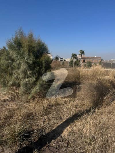 Commercial Plot for Sale Zamar Valley Islamabad