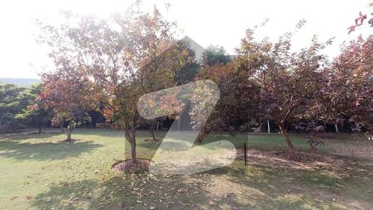 Prominently-Located 8 Marla Residential Plot Available In Bani Gala