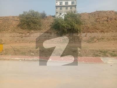 Pair Plots For Sale Bilal Block Lane 2