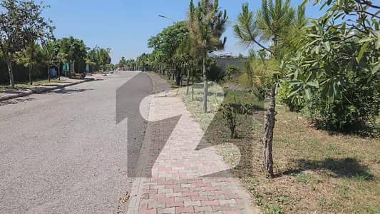 Best Priced 10 Marla Plot For Sale In Gulberg Residencia Block A