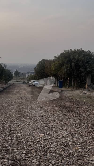 Gulberg Green Block B Highted Plot 240series Available For Sale