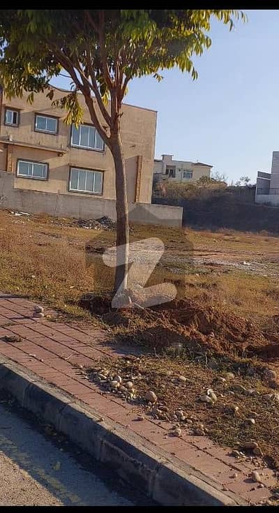 Back Open Very Reasonable Demand