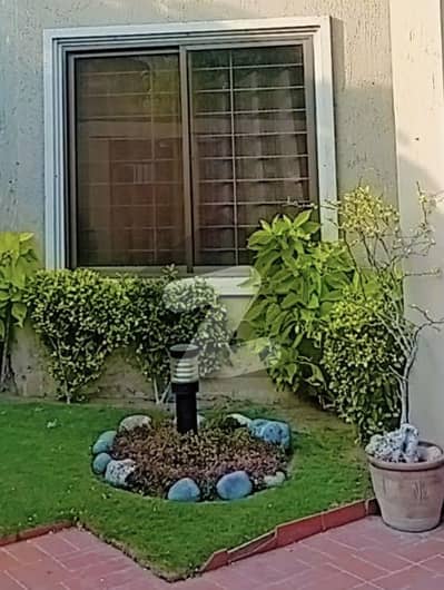 Owner Built House Beautifully Constructed House Is Available For Sale In DHA Phase 6