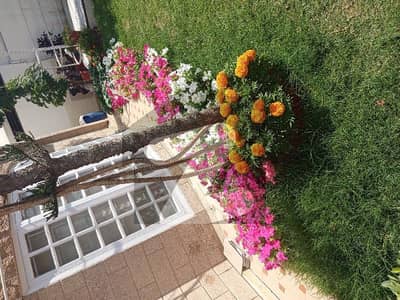 Dha Phase 7 Lower Portion Furnished VIP Luxury And Garden One Car Parking