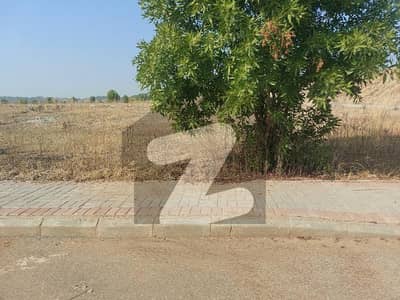 Boulevard corner plot available for sale