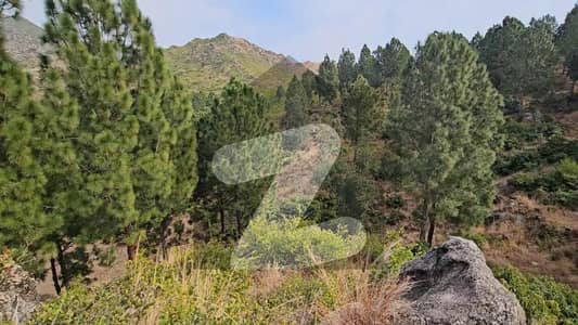 مانسہرہ بائی پاس روڈ مانسہرہ میں 1200 کنال زرعی زمین 51.0 کروڑ میں برائے فروخت۔