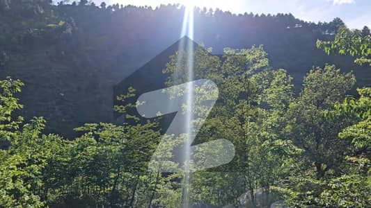 لسان نواب صاحب روڈ مانسہرہ میں 1150 کنال زرعی زمین 40.25 کروڑ میں برائے فروخت۔