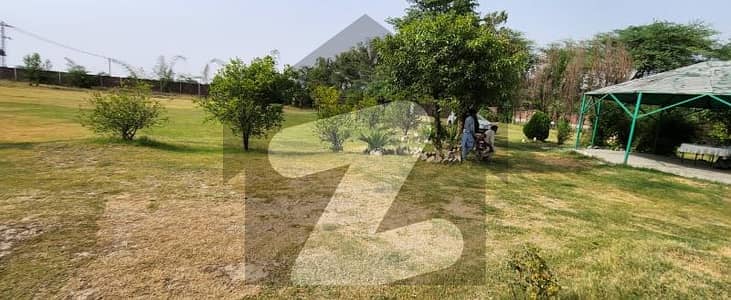 Future of Phase 7 | 3 Acre Farm House Land , Bedian Road, Karbath Village | Best Opportunity for Invest