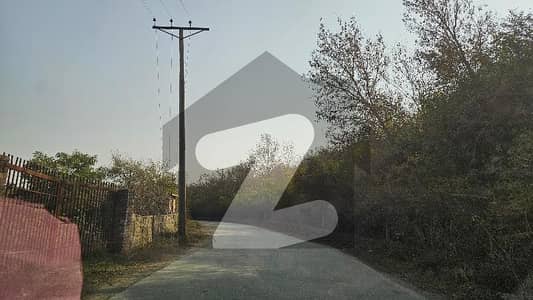 6 Kanal Farm House Plot For Sale Main Uper Banigala Road Near Imran Khan House
